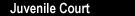 Juvenile Court Services